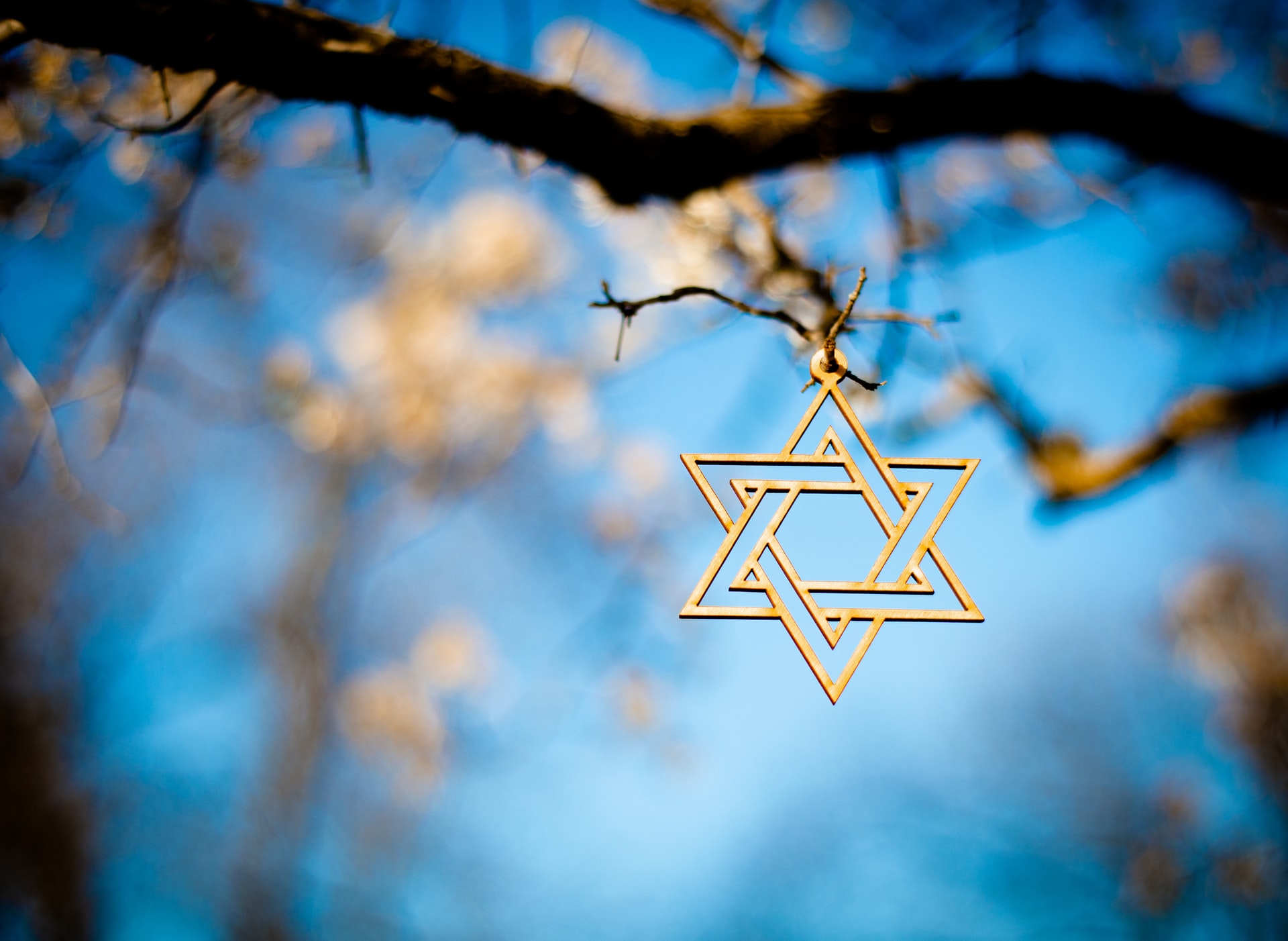 Star of David hanging on a tree